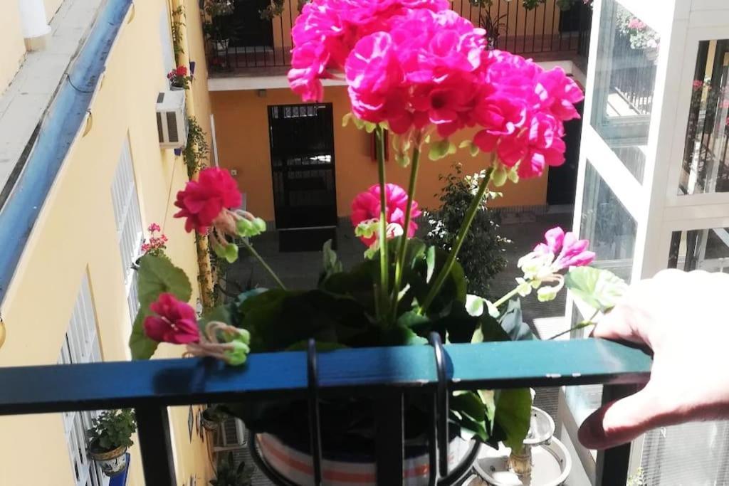 El Patio De San Bernardo Appartement Sevilla